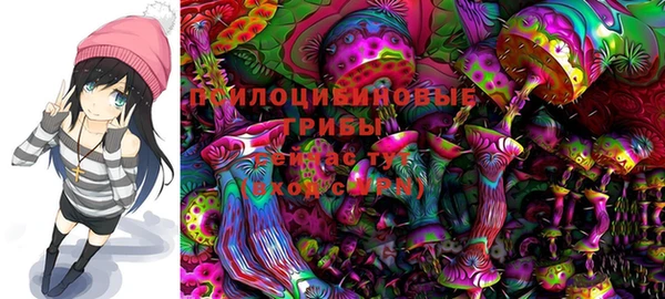 ешки Балахна