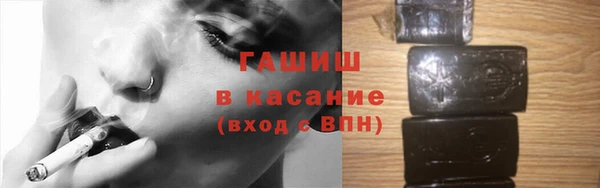 МДПВ Пересвет