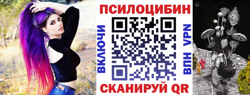 где купить   Слюдянка  Псилоцибиновые грибы мицелий 
